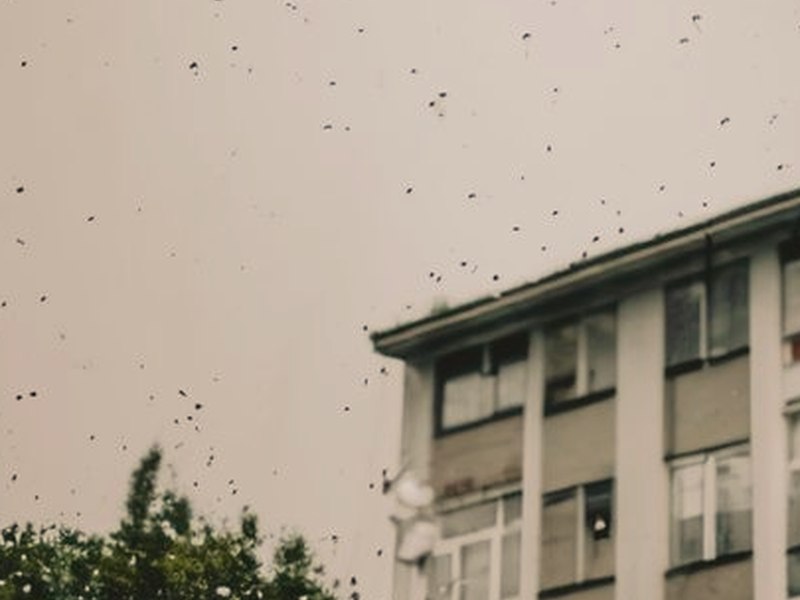 愛之池